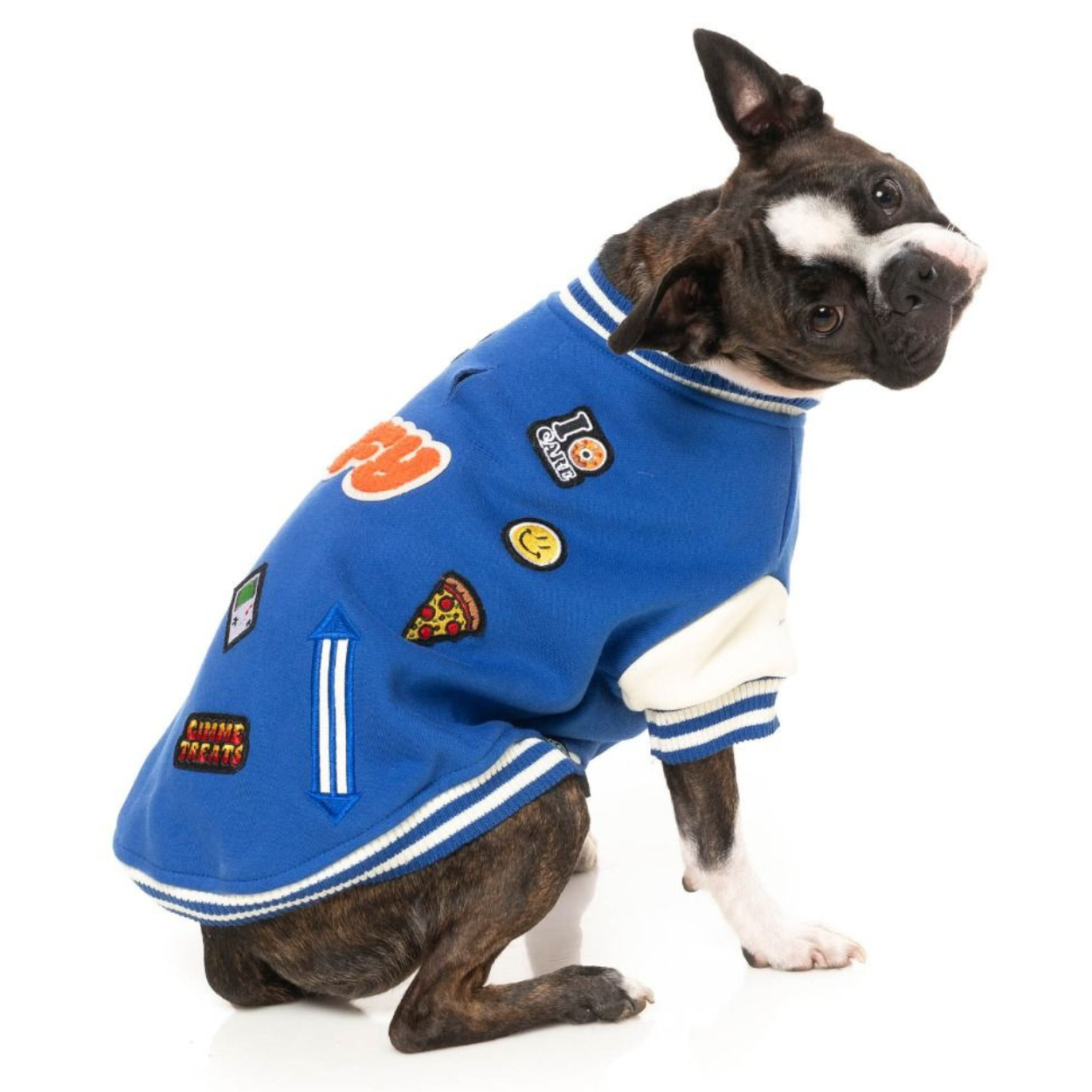 The Letterman Dog Jacket | Blue