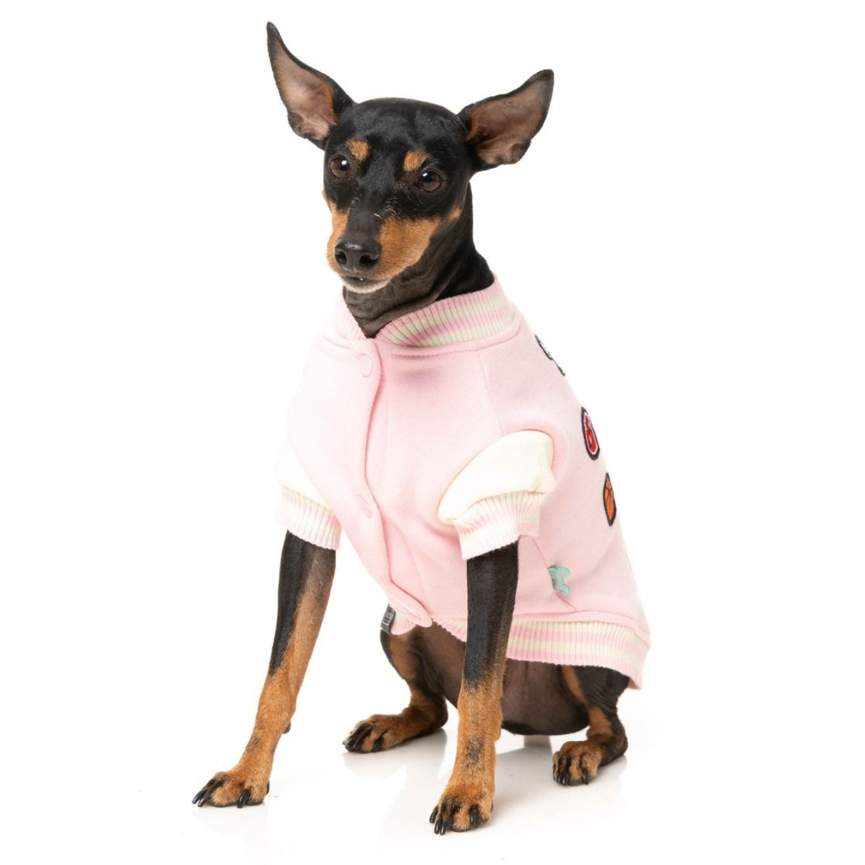 The Letterman Dog Jacket | Pink