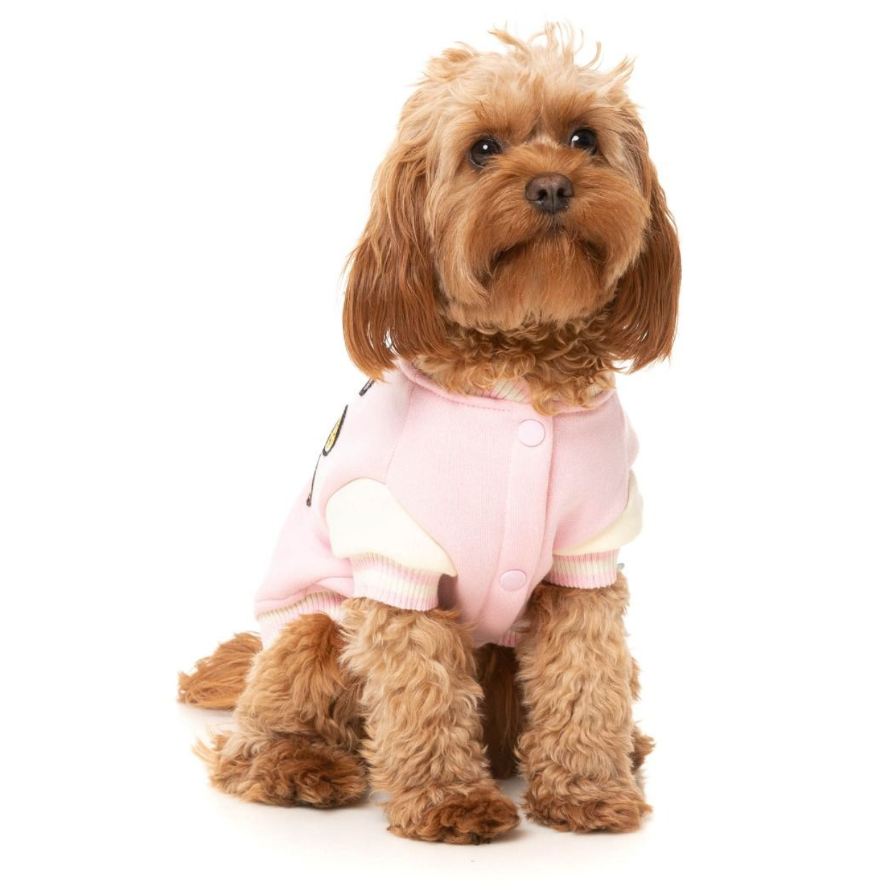 The Letterman Dog Jacket | Pink