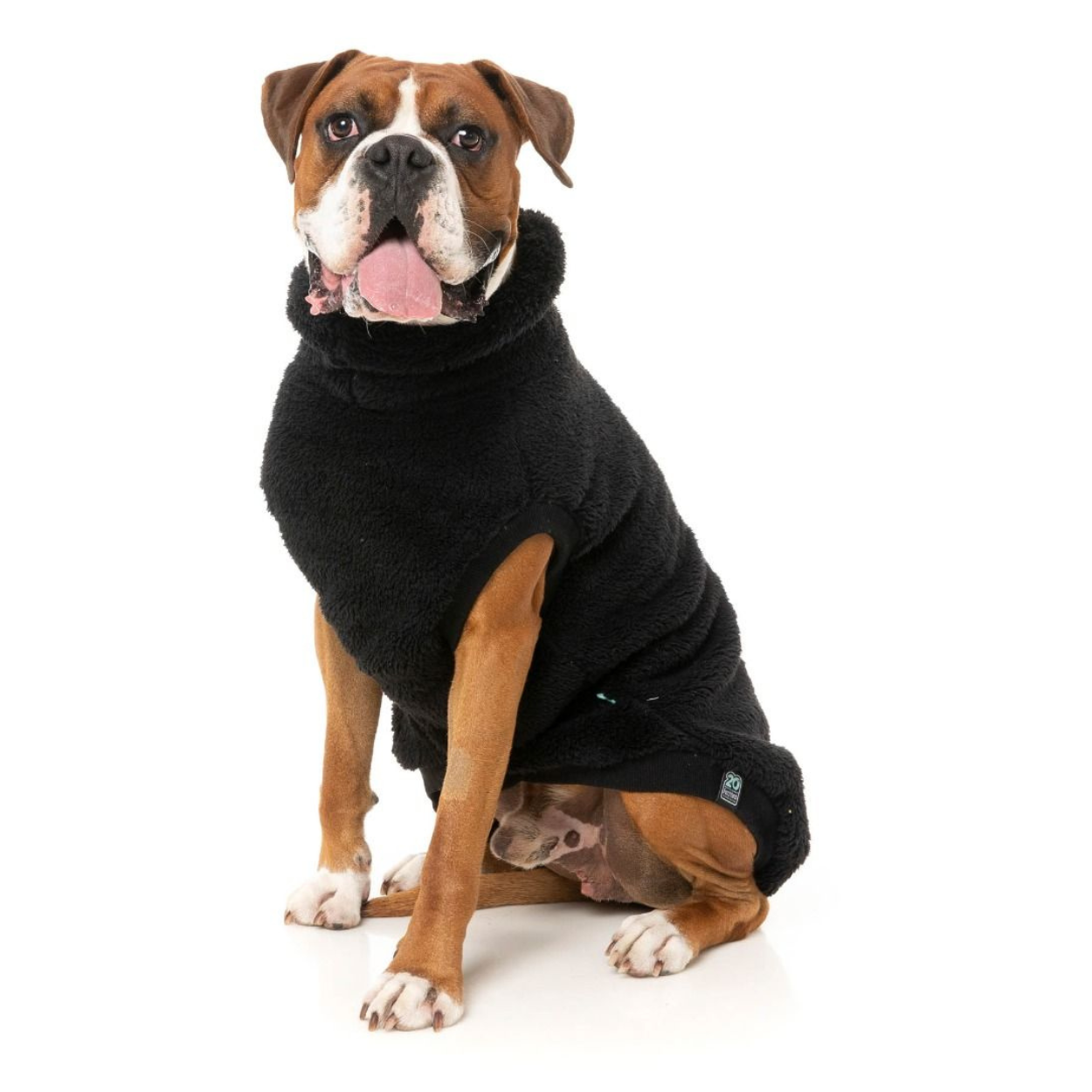 Turtle Teddy 23 Dog Sweater | Black