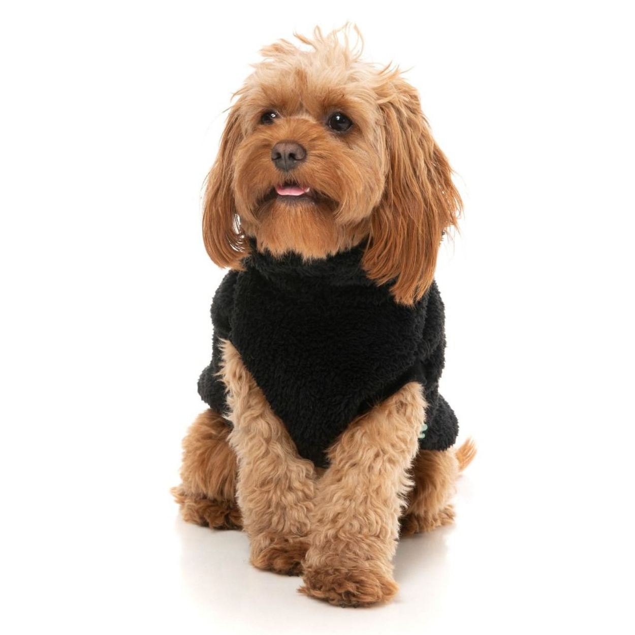 Turtle Teddy 23 Dog Sweater | Black