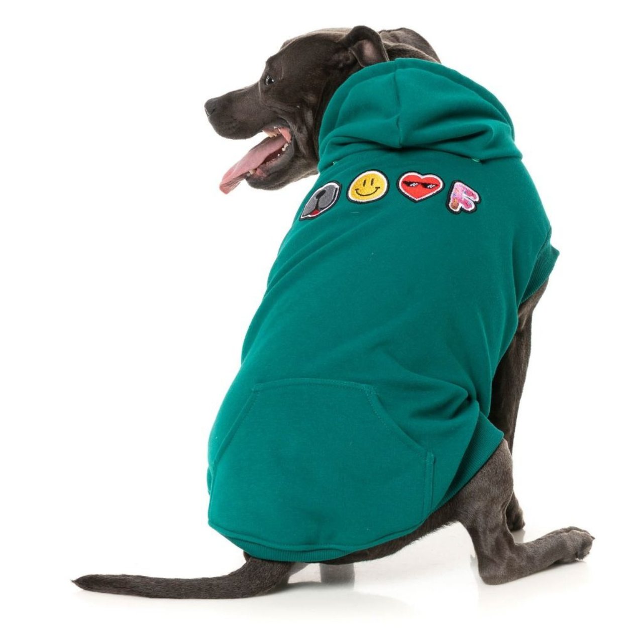 Wooftagram Dog Hoodie | Green