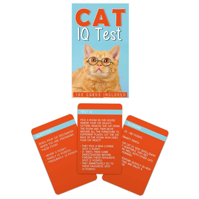 Cat IQ Test