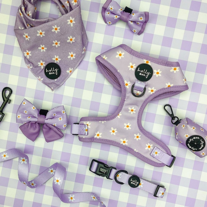 Daisies Of Our Lives Dog Harness - FINAL SALE. NO RETURNS.