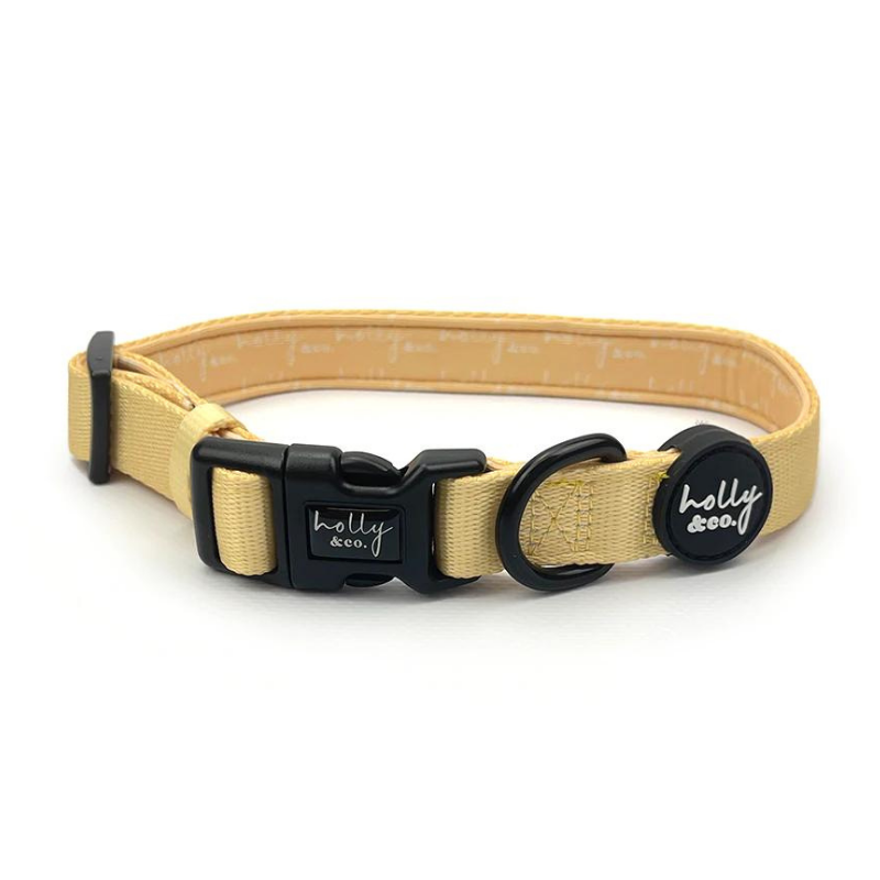 Holly and 2024 co dog collars