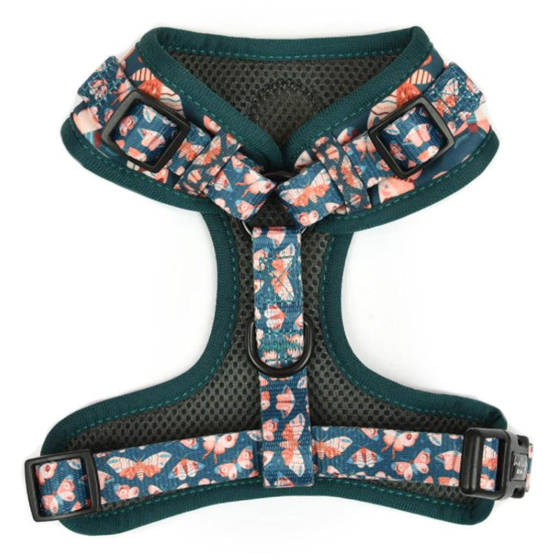 Wings Dog Harness