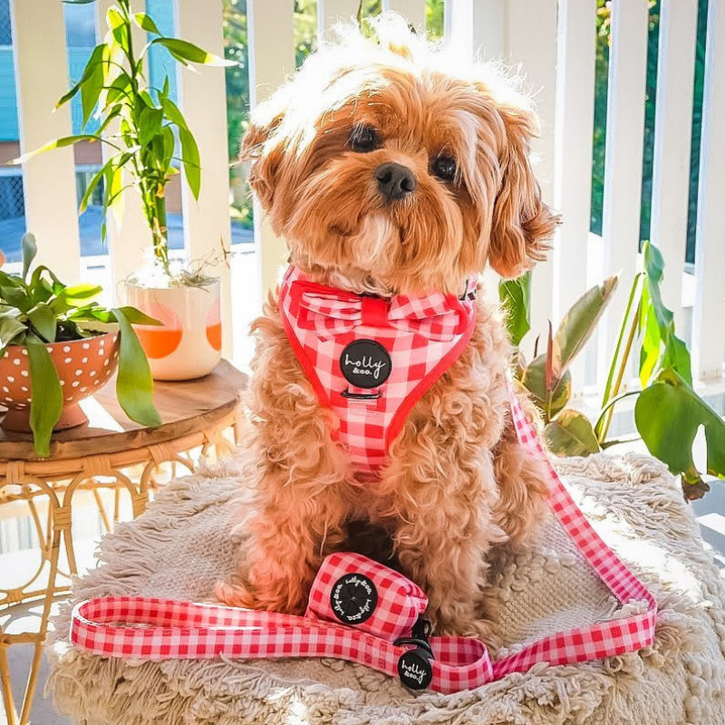 Oppa Gingham Style Dog Harness - FINAL SALE. NO RETURNS.