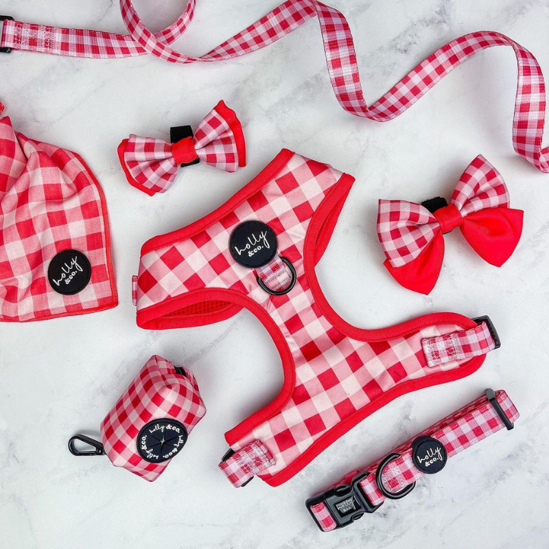 Oppa Gingham Style Dog Harness - FINAL SALE. NO RETURNS.