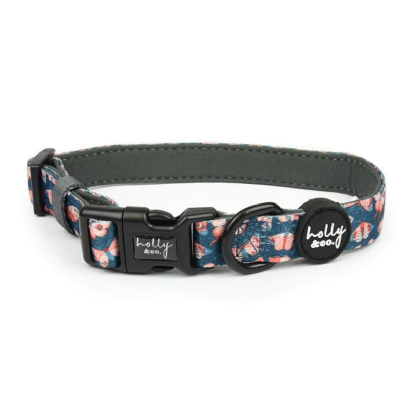 Holly and best sale co dog collars