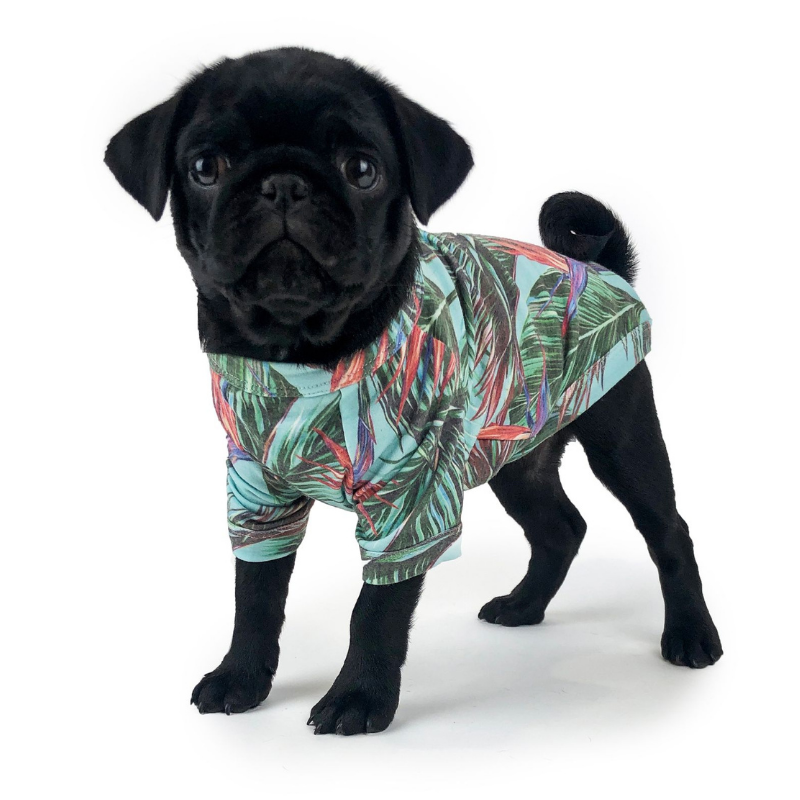 Dog T-Shirt | Maui