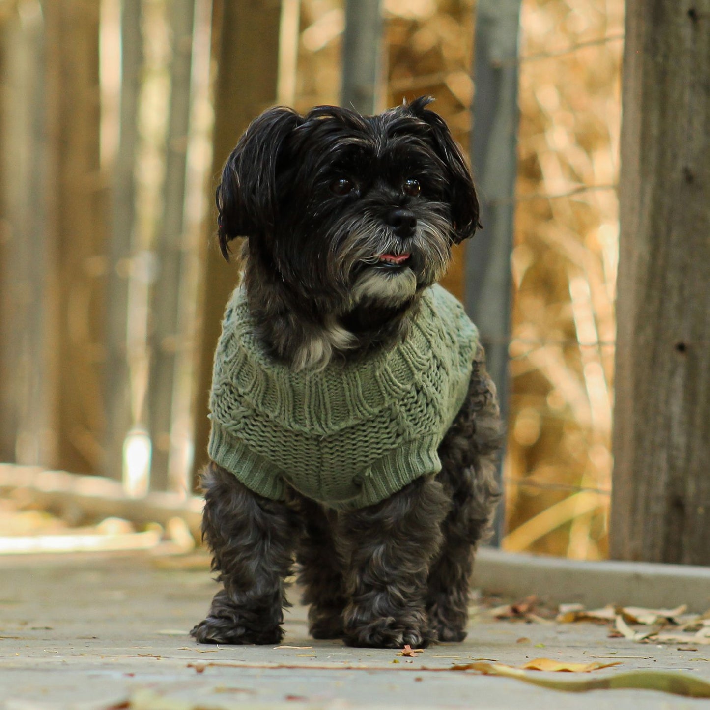 French Knit Dog Jumper | Eucalyptus