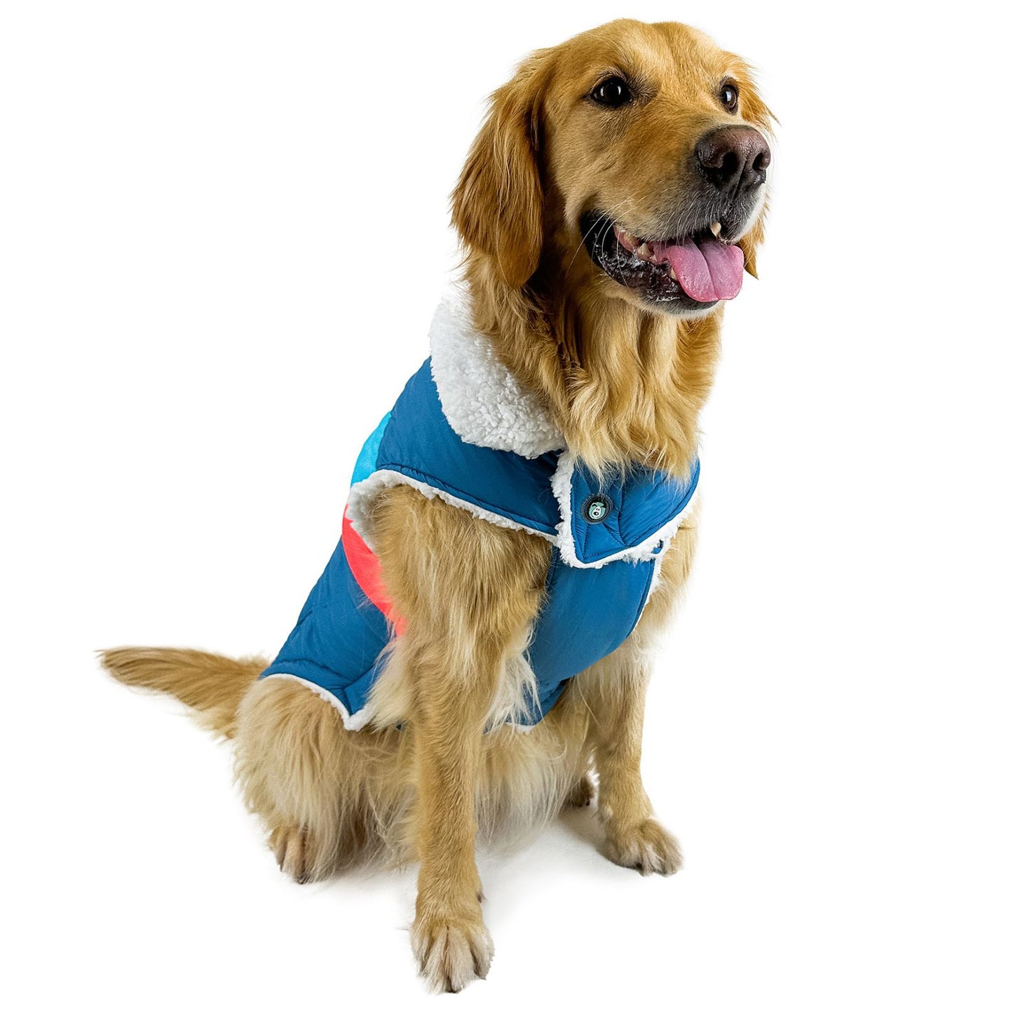 Lightning Bolt Waterproof Dog Coat | Blue