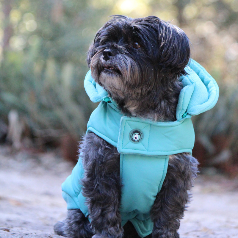 Mt Buller Waterproof Dog Coat | Periwinkle Aqua