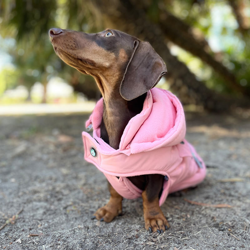 Mt Buller Waterproof Dog Coat | Rose Pink