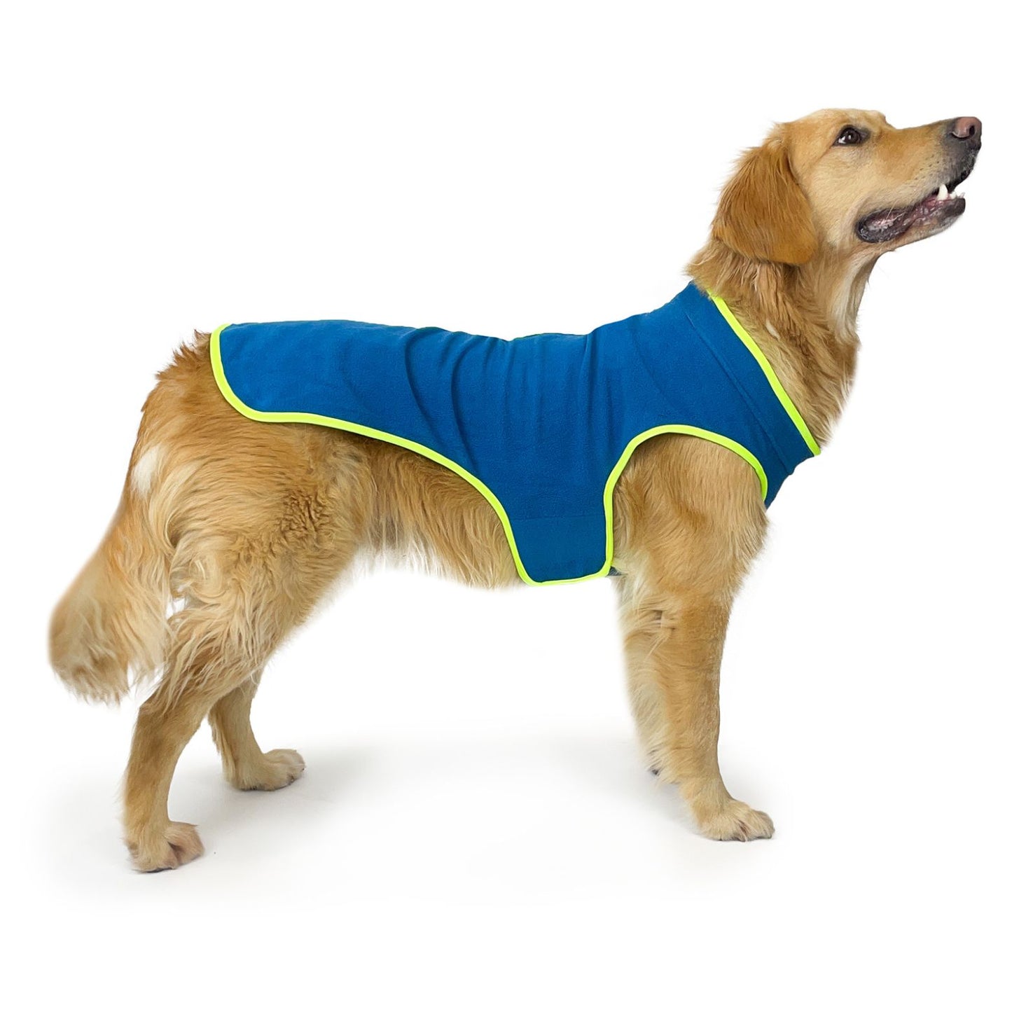 Perisher Duo Dog Fleece | Tasman Blue