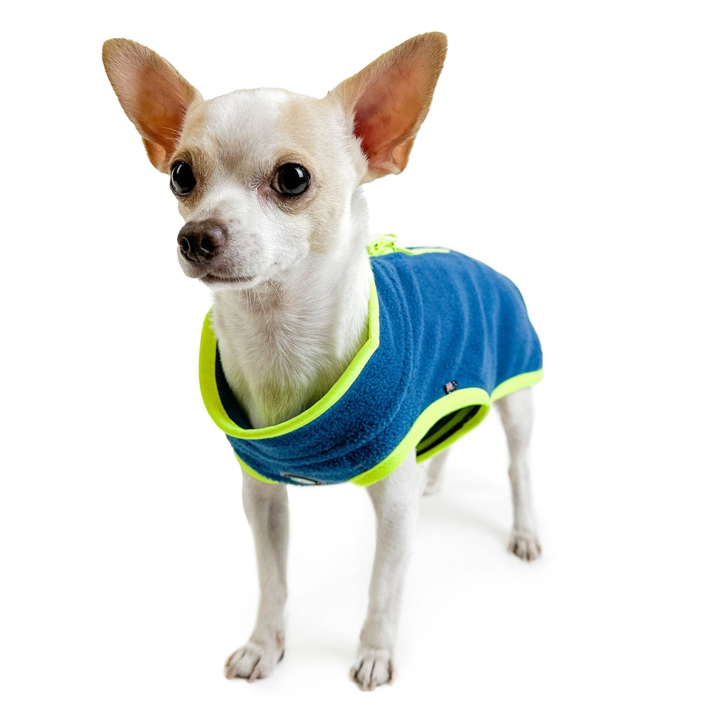 Perisher Duo Dog Fleece | Tasman Blue