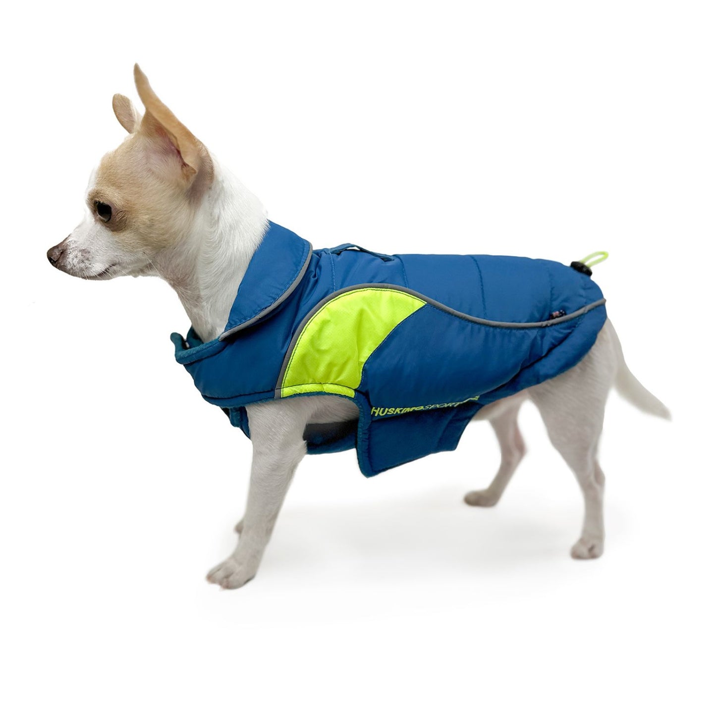 Sherpa Sport Waterproof Dog Coat | Tasman Blue