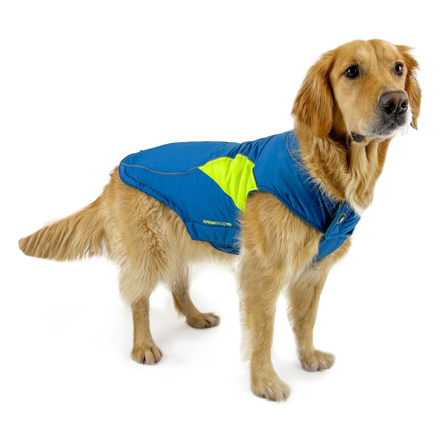 Sherpa Sport Waterproof Dog Coat | Tasman Blue