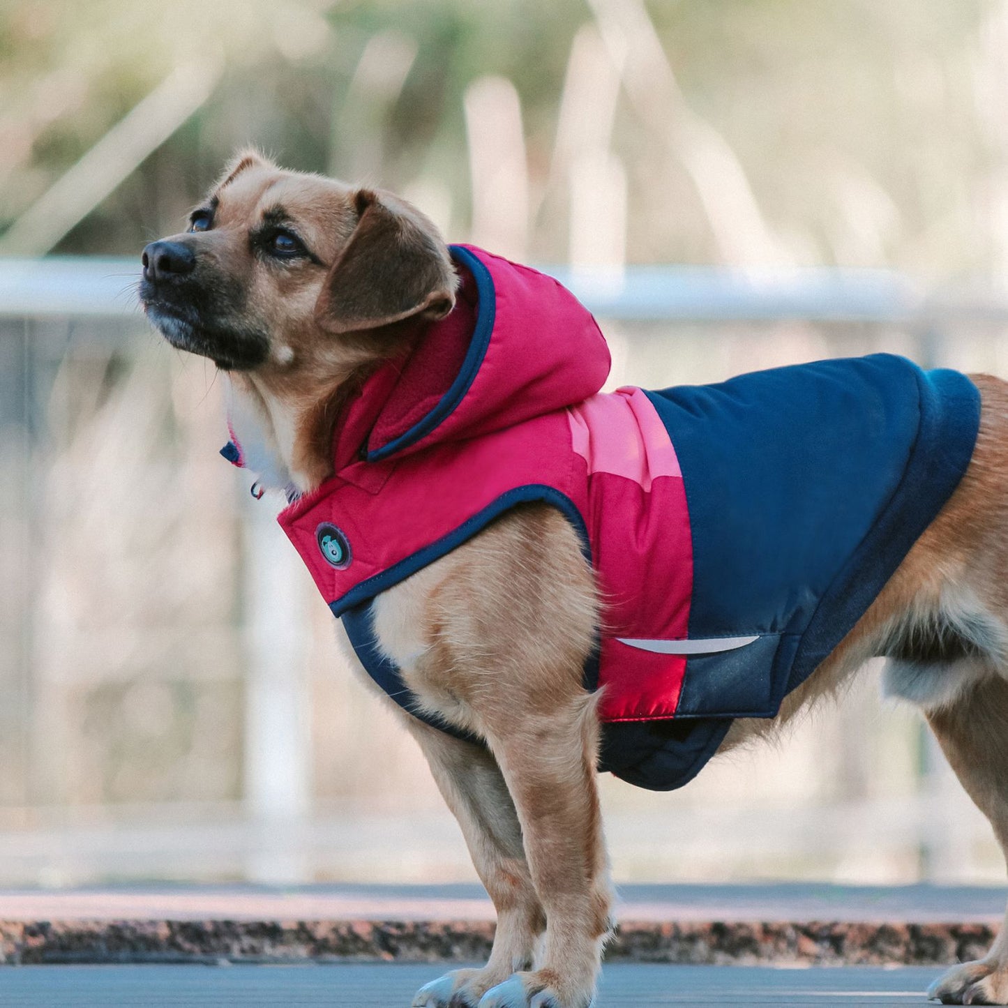 Snow Parka Waterproof Dog Coat | Pink