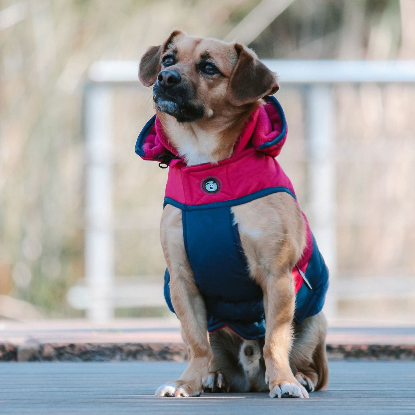 Snow Parka Waterproof Dog Coat | Pink