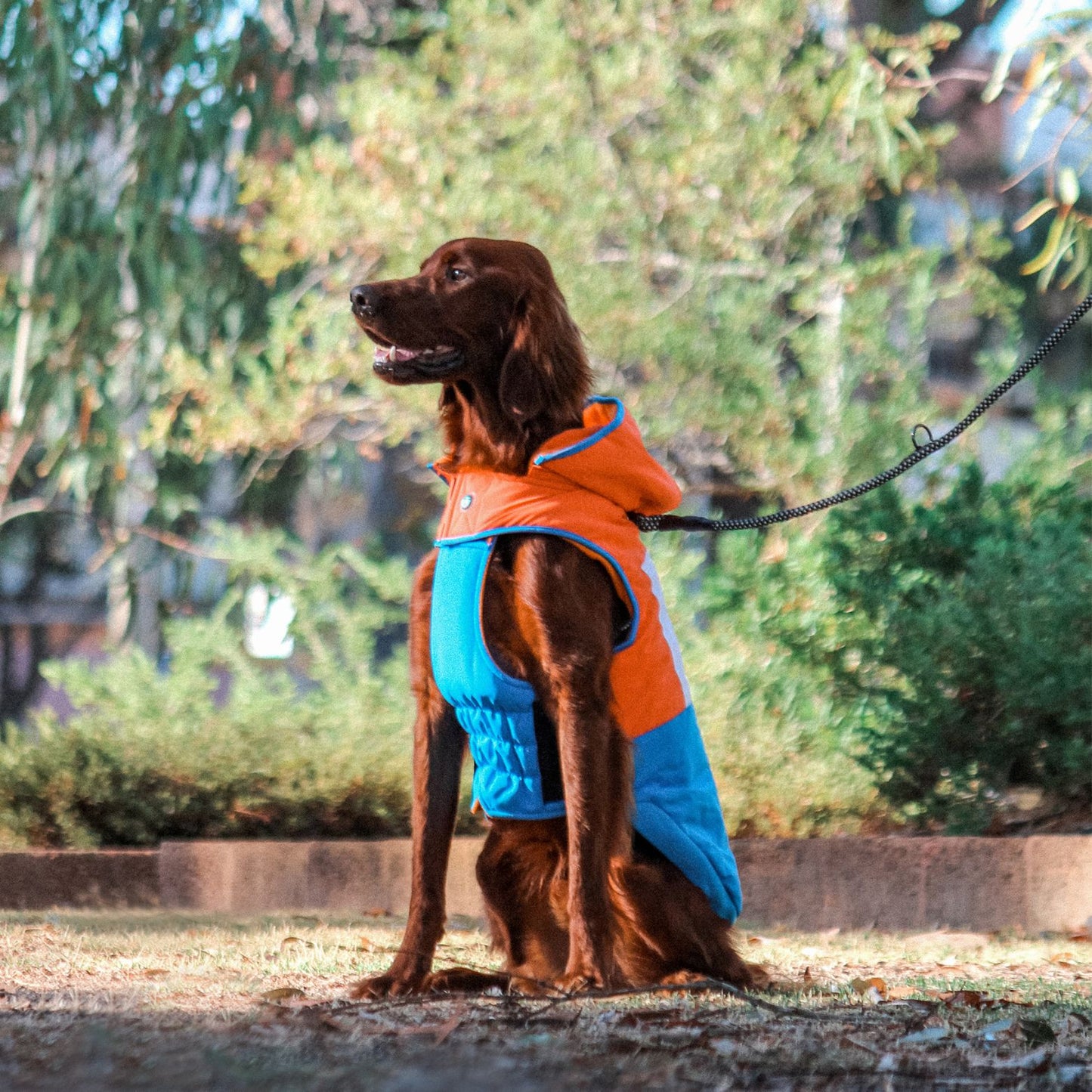 Snow Parka Waterproof Dog Coat | Orange