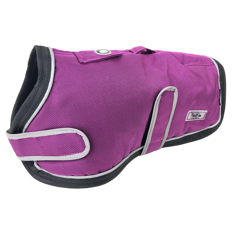 Summit Waterproof Dog Coat | Aurora - FINAL SALE. NO RETURNS. - Peticular