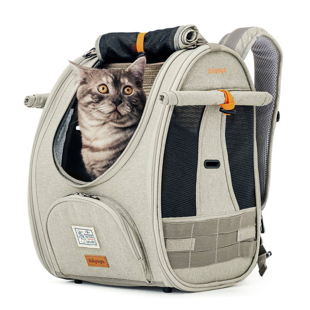Ibiyaya Adventure Cat Small Dog Carrier Backpack Peticular