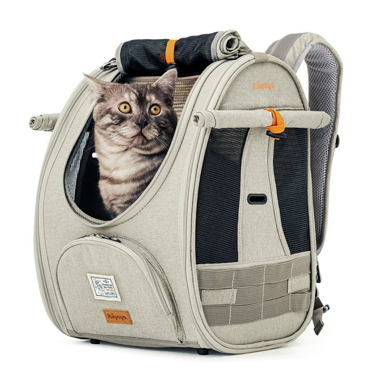 Adventure Cat & Small Dog Carrier Backpack