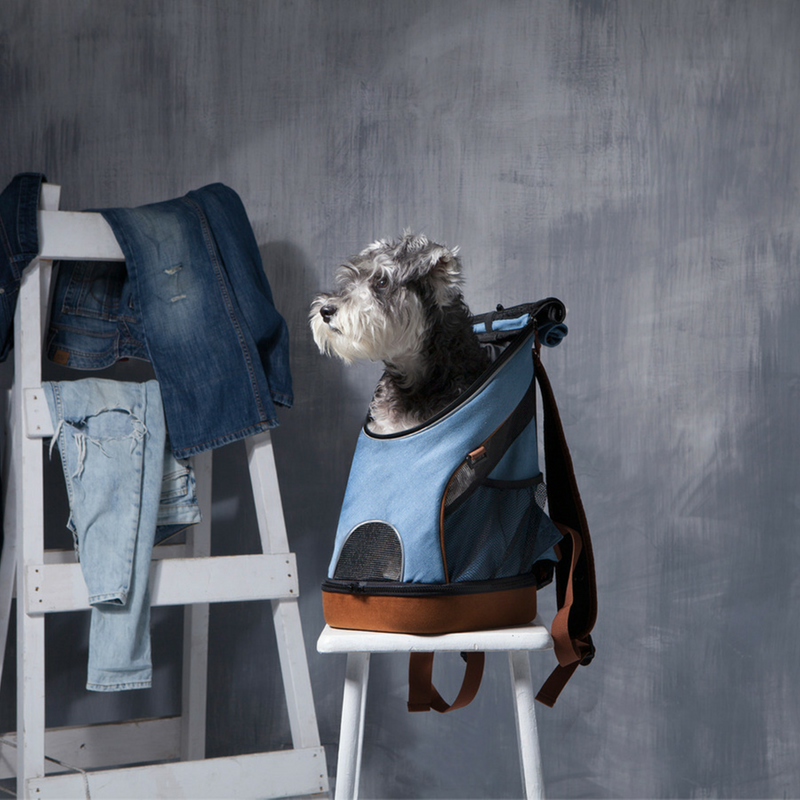 Ibiyaya Lightweight Pet Backpack | Denim | Peticular