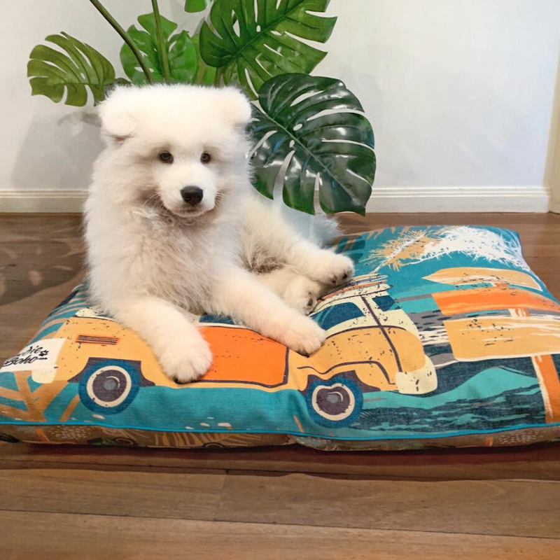 Indie Boho Cushion Pet Bed | Byron Surf | Peticular