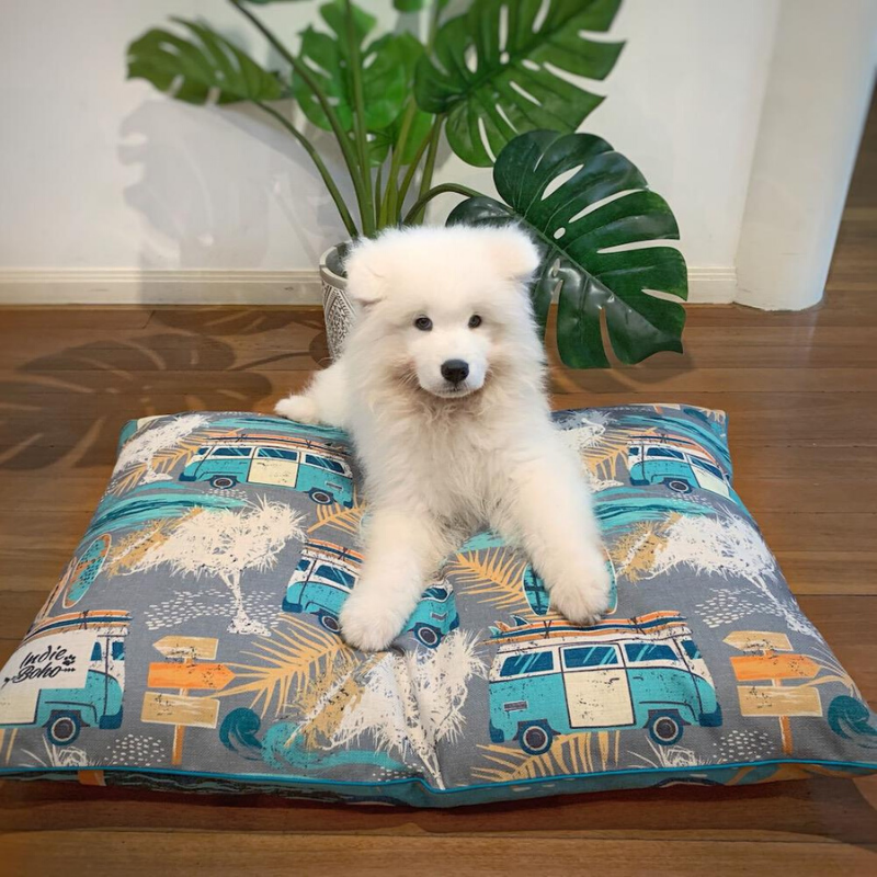 Indie Boho Cushion Pet Bed | Byron Surf | Peticular