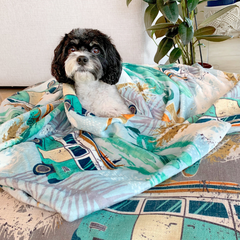 Indie Boho Designer Pet Blanket | Byron Surf | Peticular