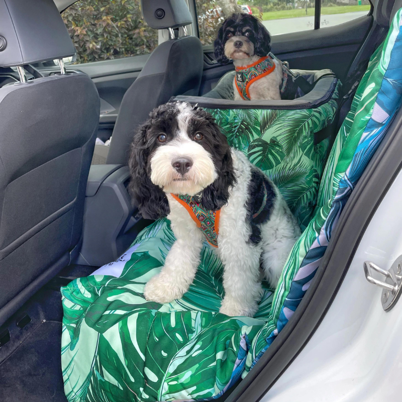 Car Pet Booster Double Seat | Tropical Leaves