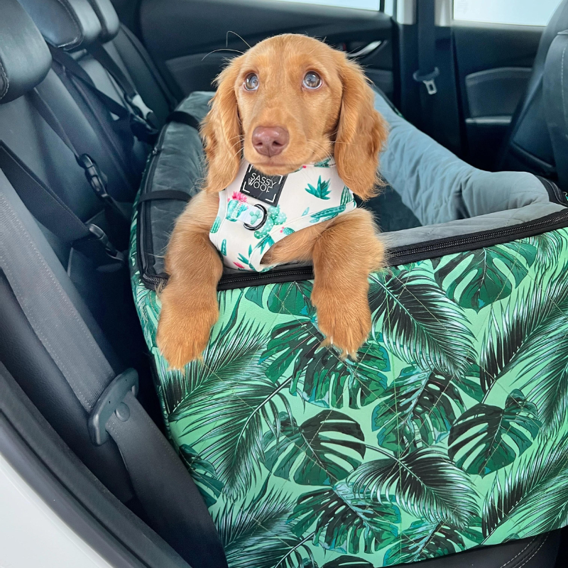 Car Pet Booster Double Seat | Tropical Leaves