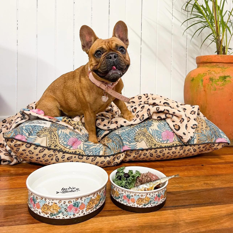 Designer Pet Bowls | Leopard Luxe