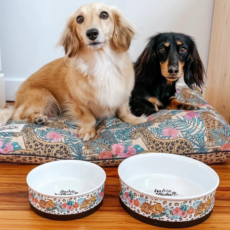 Designer Pet Bowls | Leopard Luxe