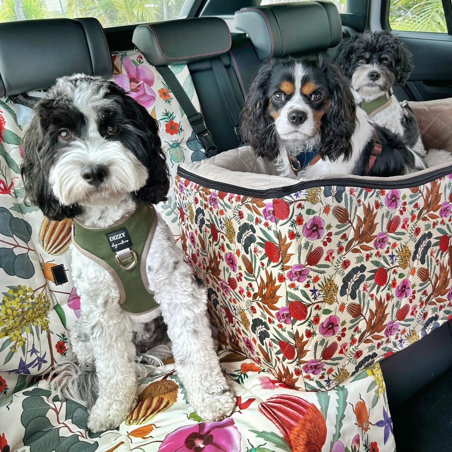 Car Pet Booster Double Seat | Native Flora