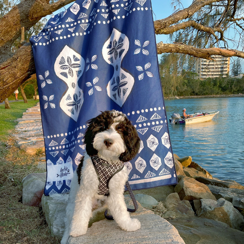 Pet Travel & Bath Towel | Noosa Nights