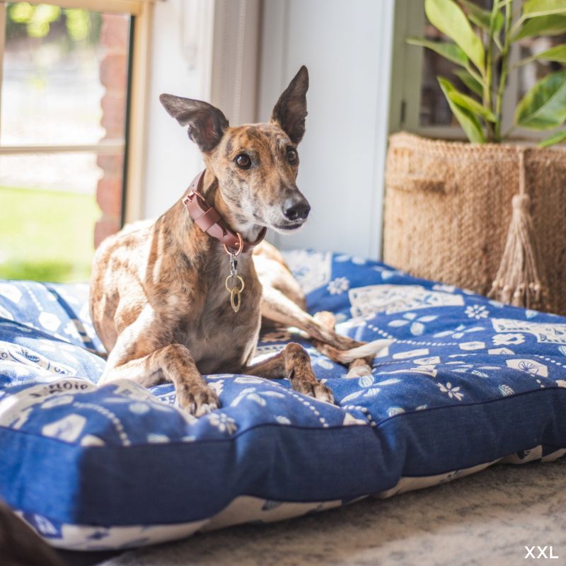 Indoor Dog Bed | Noosa Nights*