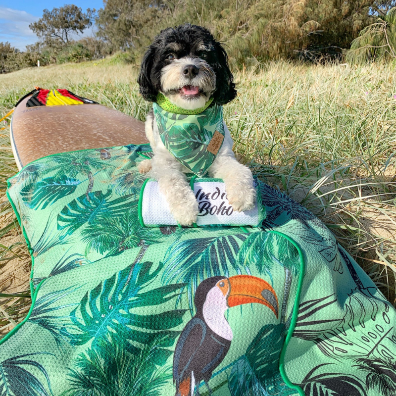 Pet Travel & Bath Towel | Tropical Toucan