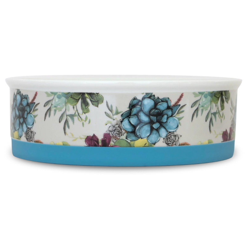 Designer Pet Bowls | Succulent Medley