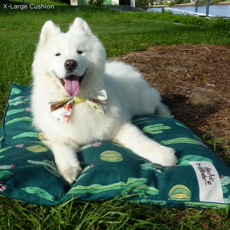 Indie Boho Cushion Pet Bed | Cactus Garden | Peticular