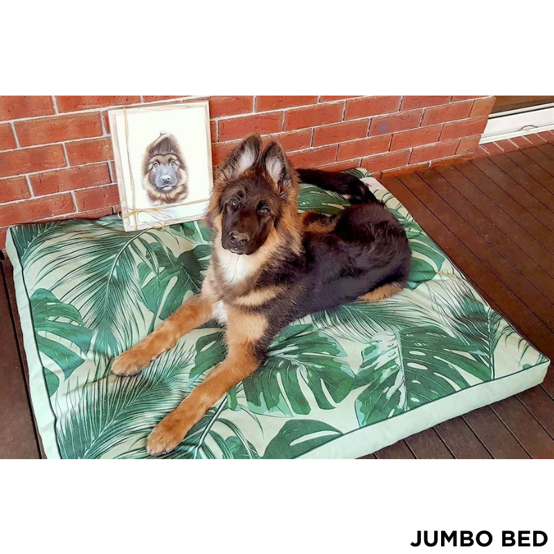 Indie Boho Cushion Pet Bed | Tropical Leaves | Peticular