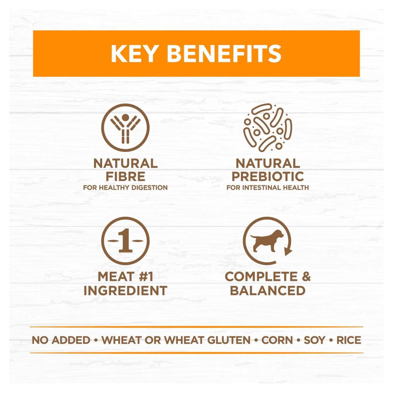 Adult Dog Wet Food | Grain Free Chicken Stew - Peticular