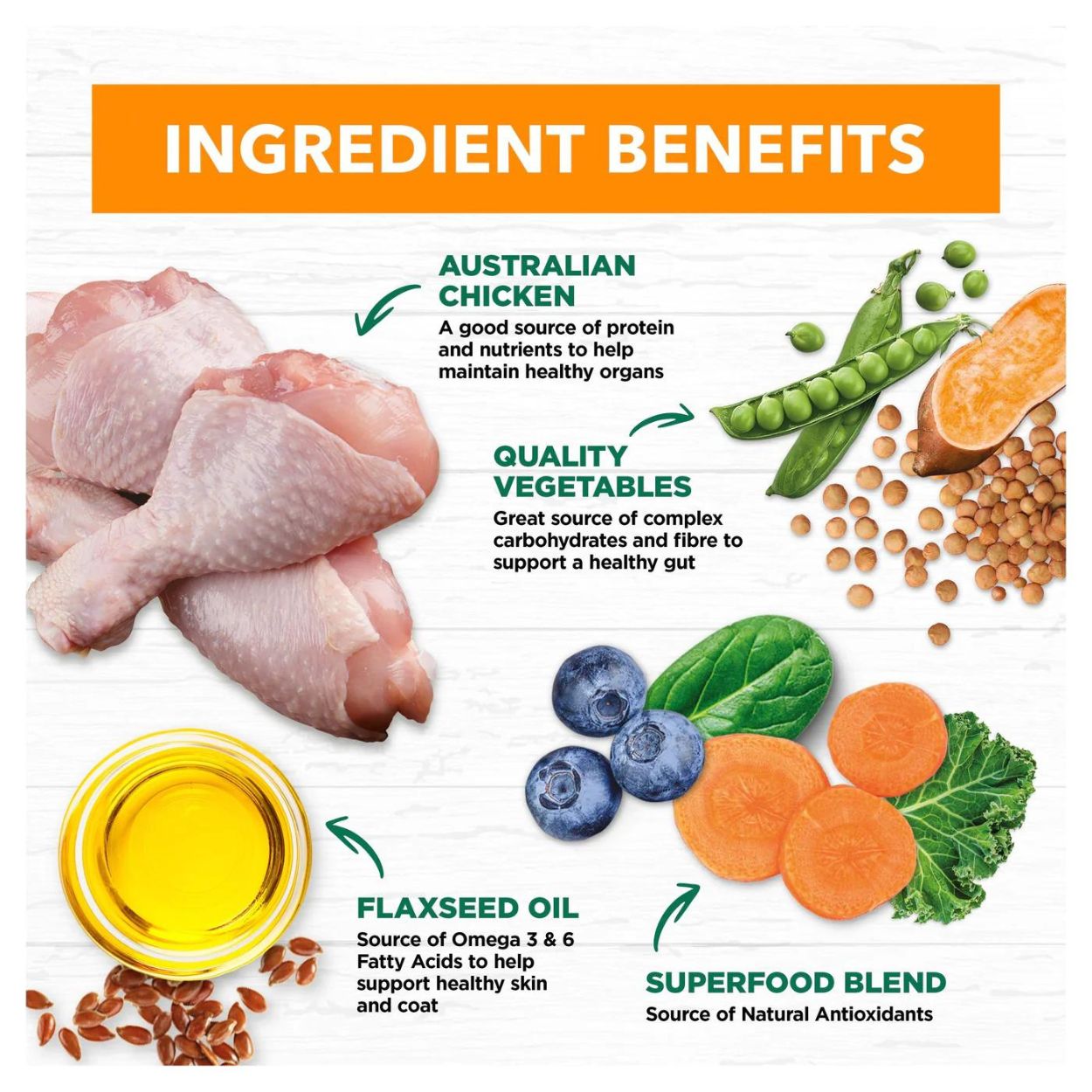 Adult Dog Wet Food | Grain Free Chicken Stew - Peticular