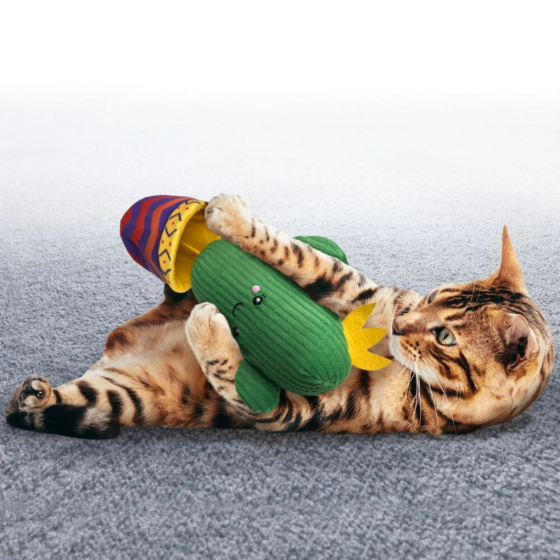 Wrangler Cactus Catnip Toy