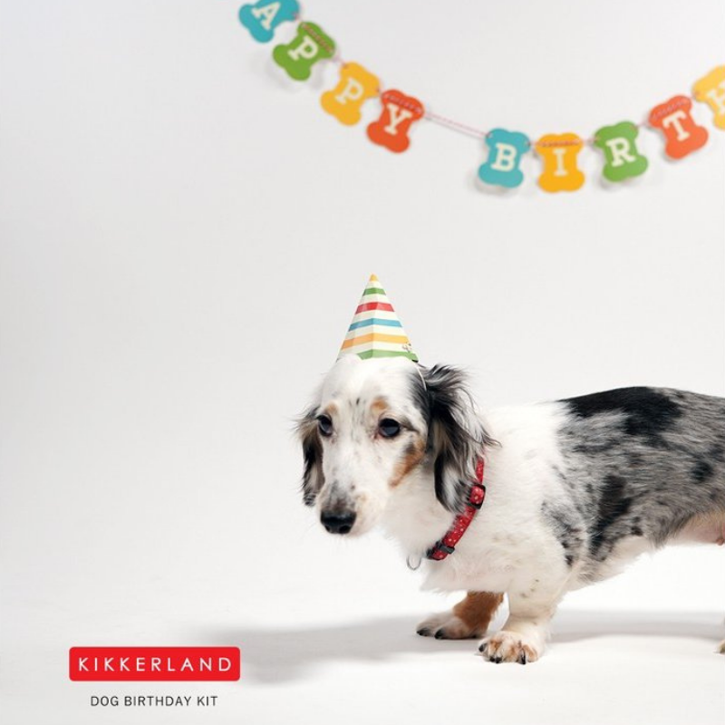 Dog Birthday Kit
