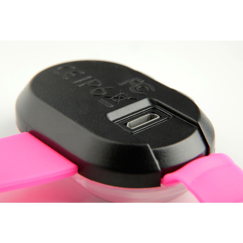 Matrix Ultra LED Pet Safety Light | Pink