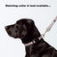 Neoprene Harness | Mocca Dog Print - Peticular