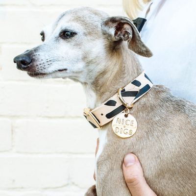 NICE DIGS Tiggy Leather Dog Collar | Black | Peticular